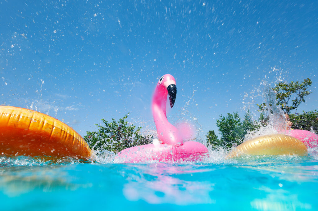 Pool Accessories